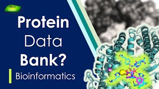 How to Use Protein Data Bank ¦ What is PDB ¦ PyMol Series ¦ Part 1 ¦ Basic Science Series Official