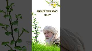 তোমার দৃষ্টি তোমার আয়না...নীতি কথা।শায়েখ ইবনুল আরাবী। tiktok #shorts #status #trending #tiktok