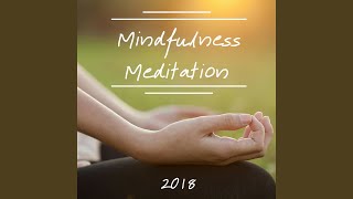 Mindfulness Meditation 2018