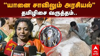 Tamilisai Press Meet | ”யானை சாவிலும் அரசியல்” தமிழிசை வருத்தம்.. | Elephant Lakshmi death