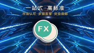 MT4/5白标｜ST5外汇系统全套包网搭建，年底超低价！！金融牌照办理、海外公司注册、CRM管理系统、官网定制开发。一站式解决方案