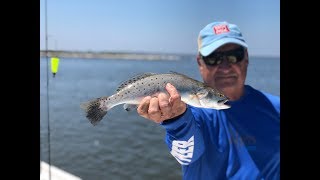 Fishing at Queen Bess Island near Grand Isle