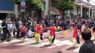 よさこい舞友伝（～Finish）／ストリート会場（湘南スターモール）／第12回湘南よさこい祭り2015