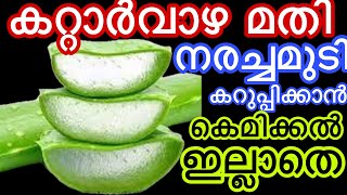 കറ്റാർവാഴ കൊണ്ട് ഇതുപോലെ ചെയ്താൽ നരച്ചമുടി കട്ടകറുപ്പാക്കാം