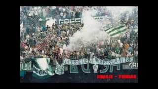 curva sud avellino