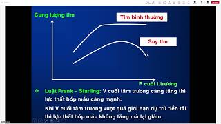 Nhi Khoa - Suy tim ở trẻ em - 15/10/2024