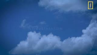 life is like this passing cloud