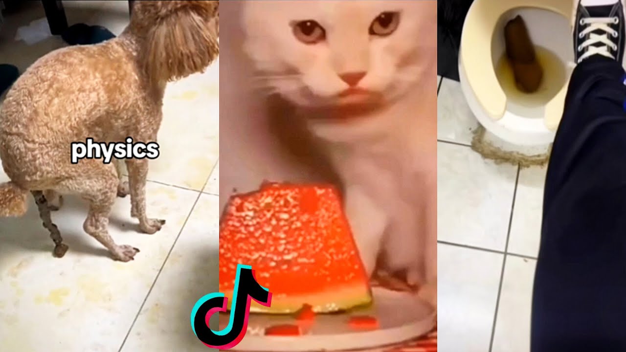 Memes Random Encontrados En Tiktok Parte 3 Youtube