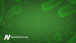 The Role of the Gut Microbiome in Autism