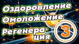 Внеземные цивилизации об оздоровлении, омоложении, регенерации тканей организма (часть 3)