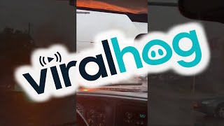 Downed Power Line Catches Fire || ViralHog