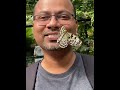 Beautiful Butterflies 🦋 ❤️🦋| 🤩 Playing with butterfly | Monarch #shorts