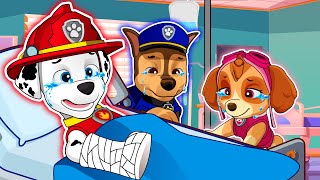 Chase \u0026 Marshall is Sick! What happened?? Happy Life Story - Paw Patrol The Mighty Movie - Rainbow 3