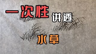 国画水草怎么画？一次性讲透绘画技法