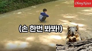 ※심쿵주의※ 숲속 다람쥐가 아이들 손 보자 한 행동