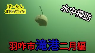 【水中映像】石川県金沢近郊の滝港にて水中の様子を観察！2月の海は死んでいた( ﾟДﾟ)