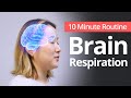 Brain Respiration | 10 Minute Daily Routines