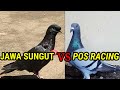 MERPATI JAWA SUNGUT VS MERPATI POS RACING