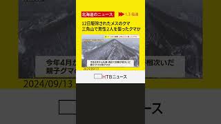 １２日駆除されたメスのクマ　おととし三角山で男性２人を襲ったクマと同じ個体か　札幌市・西区