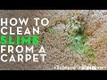 How To Clean Slime From a Carpet How To Clean Slime From a Carpet