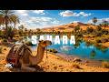 Unseen Sahara | The Most Incredible Wonders Of The Sahara Desert | 4K Ultra Hd Travel Documentary