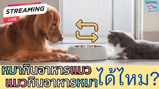 หมากินอาหารแมว แมวกินอาหารหมา ได้ไหม? | คำถามยอดฮิต