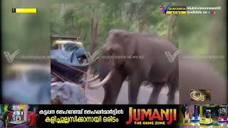 മൂന്നാറിലെ ജനവാസ മേഖലയില്‍ തമ്പടിച്ചിട്ടുള്ള കാട്ടുകൊമ്പന്‍ പടയപ്പയെ ഉള്‍വനത്തിലേക്ക് തുരത്തും