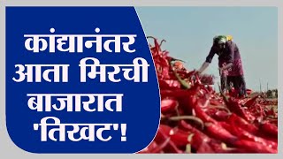 Special Report | Nandurbar | कांद्या पाठोपाठ आता मिरचीचंही उत्पादन घटलं, दर वाढण्याची शक्यता - TV9