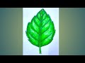 Leaf drawing easy step by step/#newlessonofdrawing /#youtubeshorts /#short