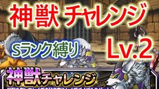 【DQMSL】神獣チャレンジLv.2 Sランク縛り