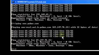 6 Testing your network with the ping command