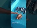 கடல் நத்தை conch sea snail 🐌 conchshell seasnail shorts ytshorts shortsvideo shortsfeed