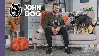 Jak bawić się z psem w domu? - TRENING PSA - John Dog