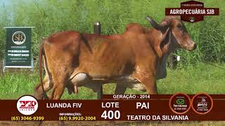 LOTE 400