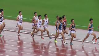 2019 関西新人 男子1500m決勝 土本、木村貴、市林、木村翔