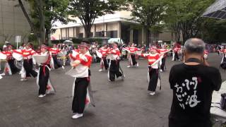 旭食品さん 原宿表参道元氣祭2015雨2日目 NHK前おいかけ