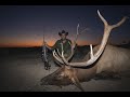 Texas Elk Hunt