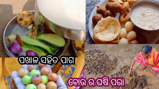 ଶୀତ ଦିନେ ପଖାଳ ସହିତ ପାଗ। ନୂଆ ବୋହୂ ର ହାତେ ଓଢ଼ଣା। 😀 ଗାଁ ର ଘଷି ପରା ଆମର ଏମିତି କରୁ #sasmitavlogs\u0026 cooking