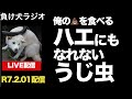 【切り抜き】アムウェイを気取って遠回しに言って失敗する人　マルチ商法 連鎖販売取引