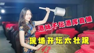 酒妹酒厂直播现场曝光，10斤坛酒卖出500坛，摆满整个酒窖太壮观