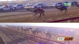 #x202b;مهرجان الشيخ محمد بن زايد - ثنايا 16-1-2019 ص ش5 دوله لـ سعيد خليفه سعيد الخيلي 13:20:6#x202c;lrm;