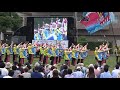 湘南よさこい2019 ～ 大富士with雄大グループ