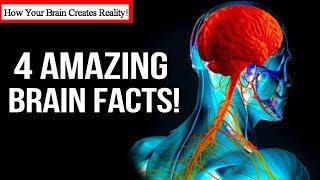 4 AMAZING Ways Your Brain CREATES Your REALITY! (Law of Attraction) | Brain Science