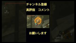 【ティアキン】最強装備　目の前で仲間が殺されても敵対しない #ティアキン #ゼルダの伝説 #ゼルダの伝説ティアーズオブザキングダム #totk