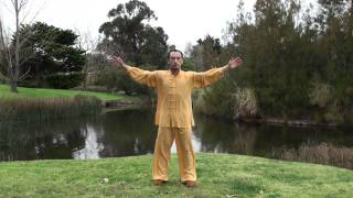 ZIRAN QIGONG LEVEL 1