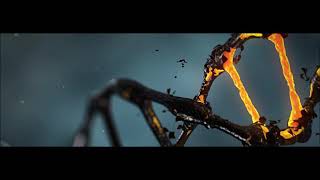 Mutation Rates Debunk Human Evolution Story