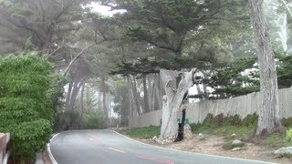 17 Mile Drive - Pebble Beach, CA