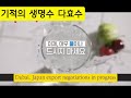 기적의 생명수 다효수 전국지역상권활성화협동조합