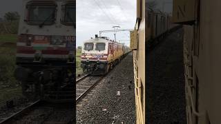 Aggressive Amul WAP-5 at 110 kmph #shorts #youtubeshorts #wap5 #shortsyoutube