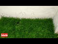 how to fix stargrass on natural stone നാച്ചുറൽ സ്റ്റോൺ നിടയിൽ grass പിടിപ്പിക്കാൻ ഇനി ക്യാഷ് കളയല്ലേ